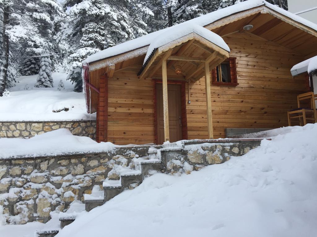Ilgaz Derbent Hotel 객실 사진