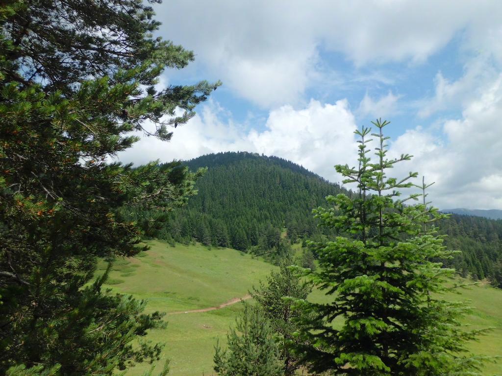 Ilgaz Derbent Hotel 외부 사진